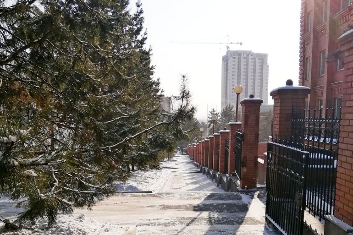 В ожидании снега: погода на февраль в Хабаровске