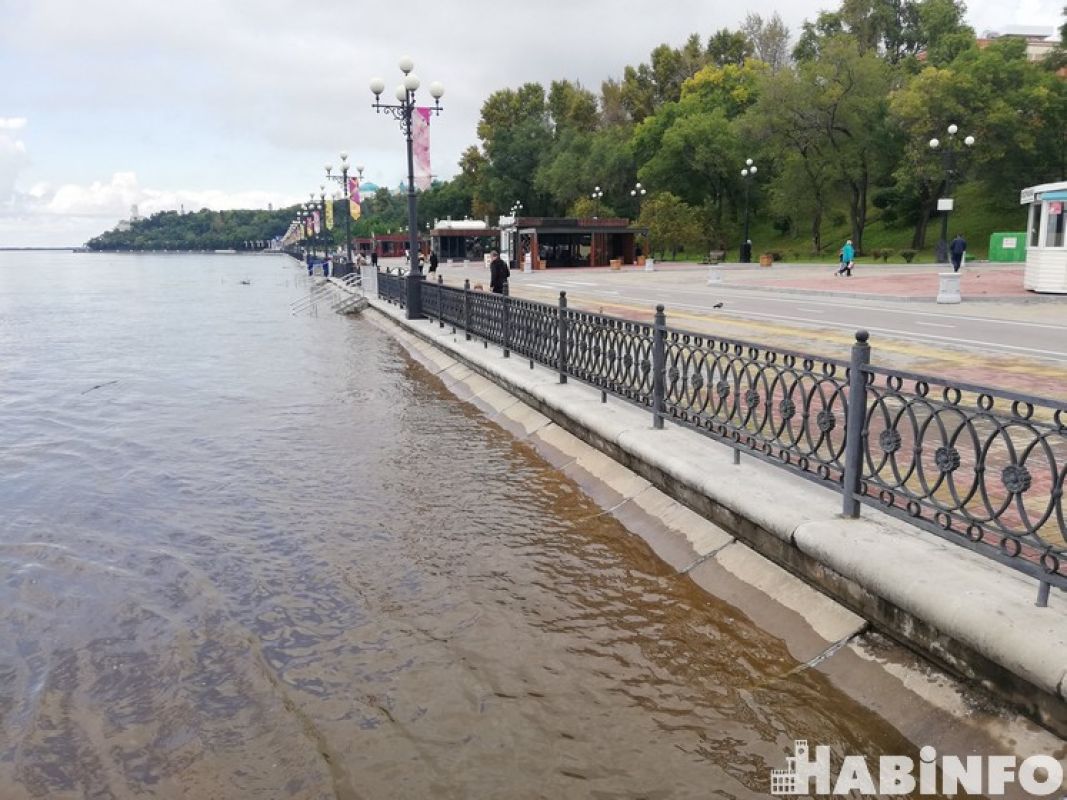 Амур продолжает расти: каким будет нынешний паводок