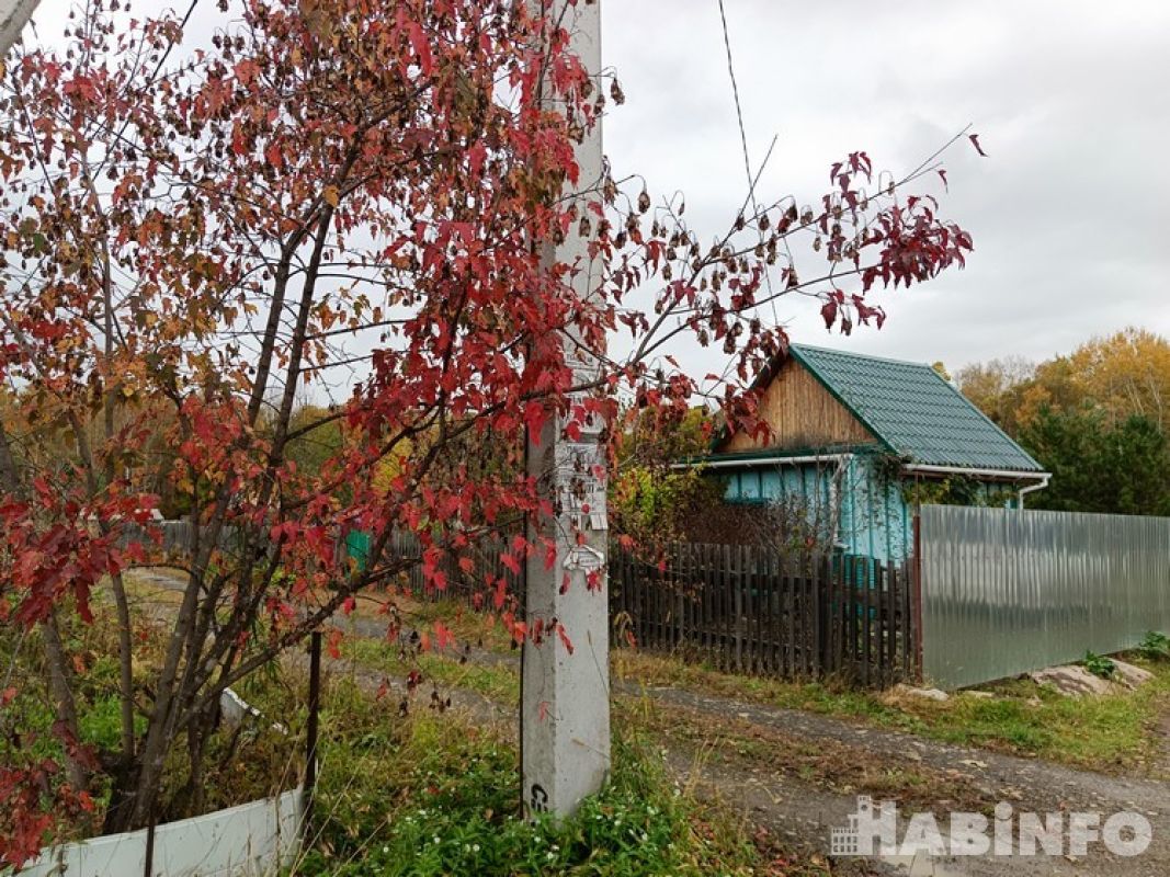 Последние краски осени на хабаровских дачах