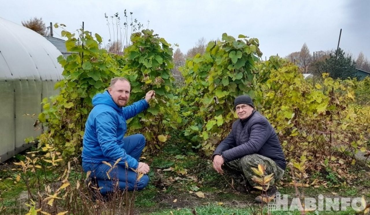 Продолжаю дело отца: как хабаровчанин решил саженцы разводить